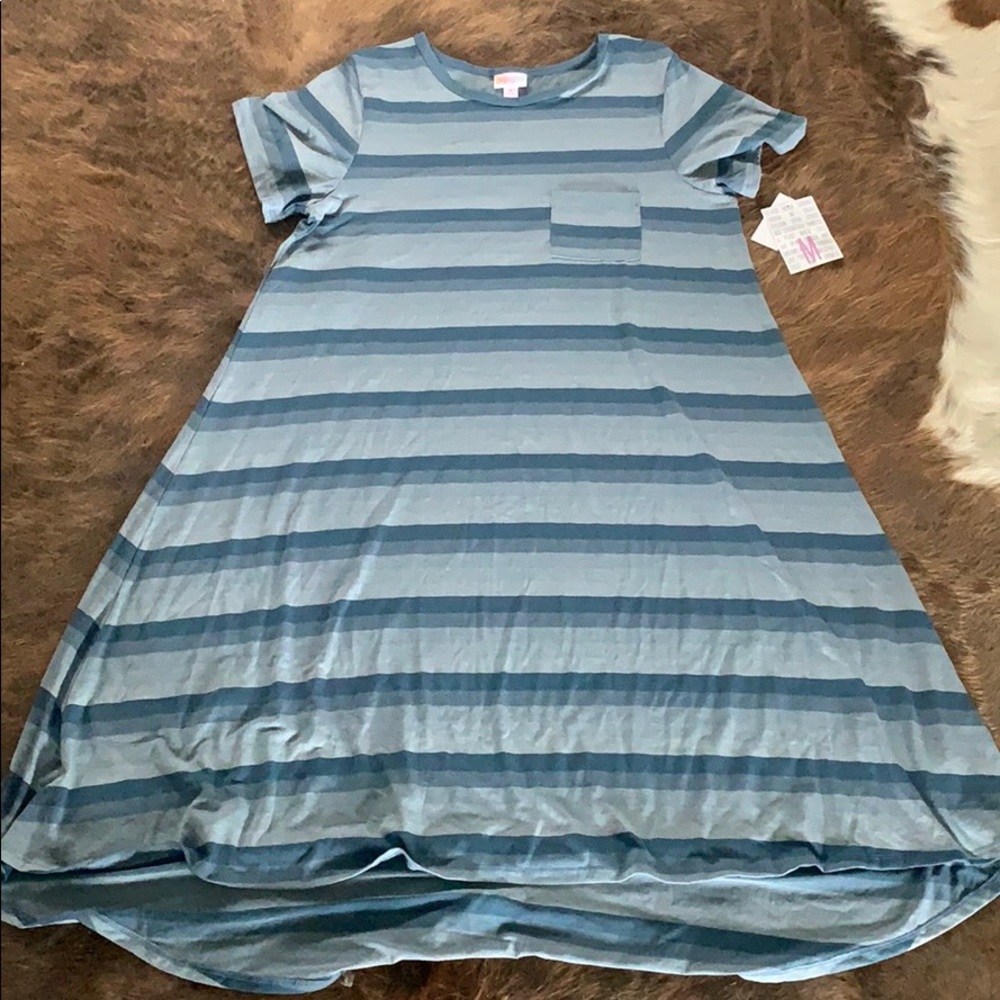 Medium Carly dress NWT